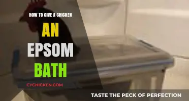 Soothing Your Chicken: A Step-by-Step Guide to Epsom Salt Baths