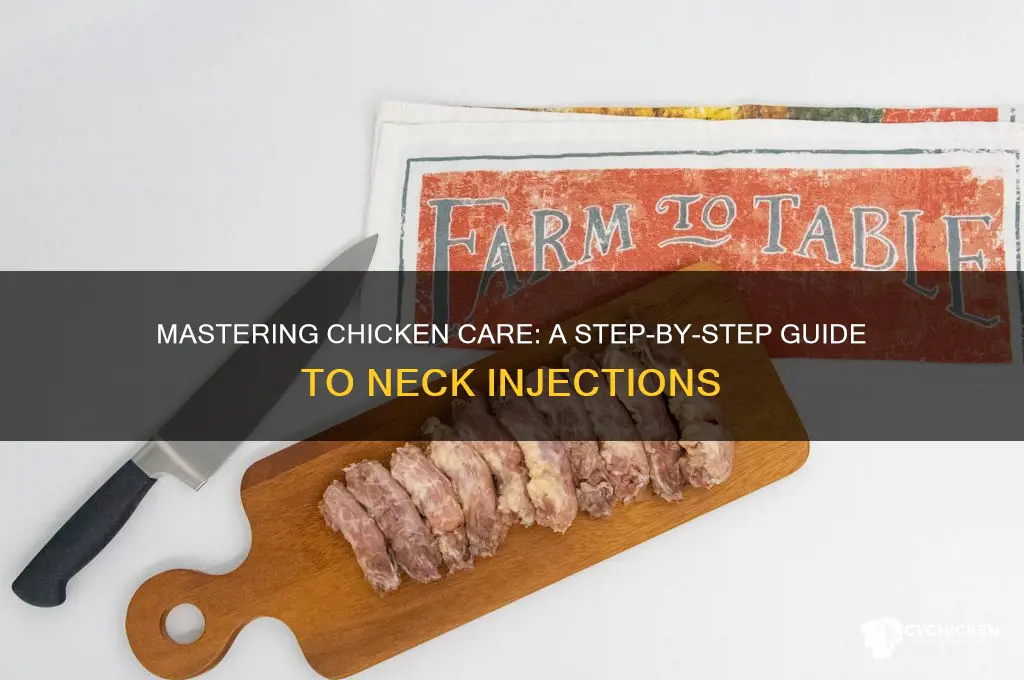 how to give a chicken an injection neck
