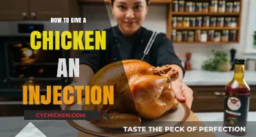Administering Injections to Chickens: A Step-by-Step Guide for Poultry Care
