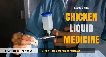Easy Steps to Administer Liquid Medicine to Your Chickens Safely
