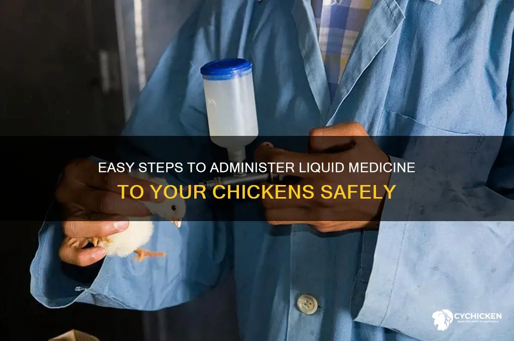 how to give a chicken liquid medicine