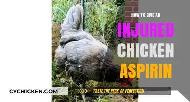 Safe Aspirin Dosage for Injured Chickens: A Step-by-Step Guide