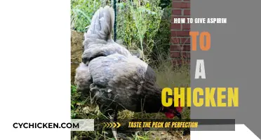 Safe Aspirin Dosage for Chickens: A Step-by-Step Guide
