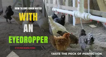 Easy Eyedropper Tips: Safely Hydrating Baby Chicks Step-by-Step
