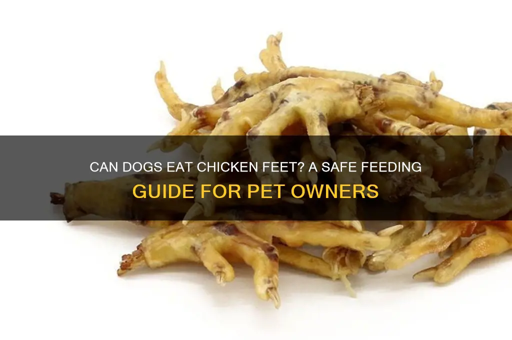 how to give chicken feet to dogs
