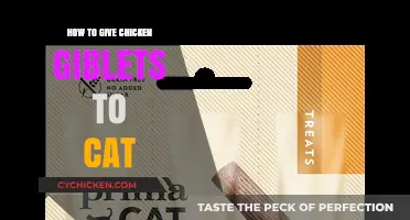 Feeding Your Cat Chicken Giblets: A Healthy Treat Guide