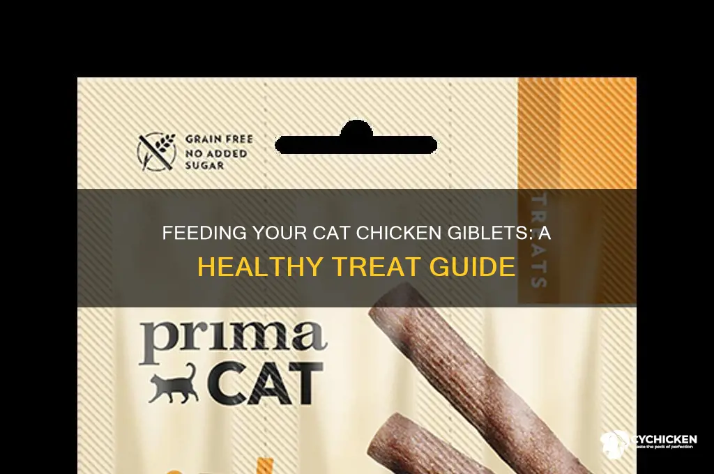how to give chicken giblets to cat