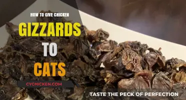 Feeding Cats Chicken Gizzards: A Nutritious and Safe Guide