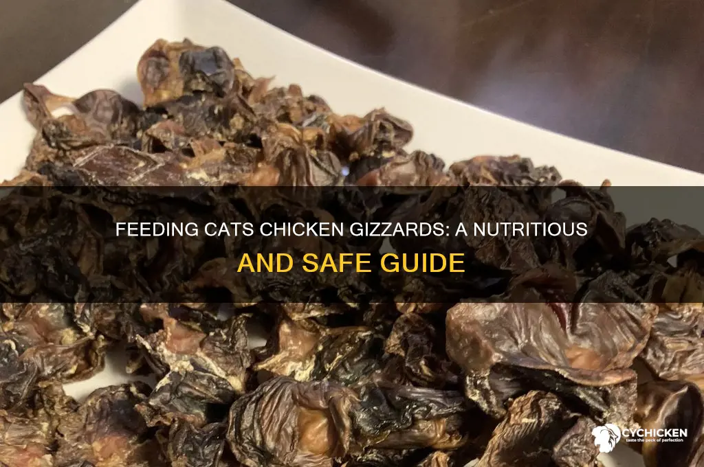how to give chicken gizzards to cats