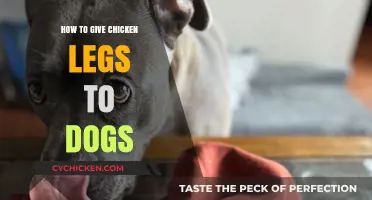 Safe Chicken Leg Treats: A Guide for Dog Owners