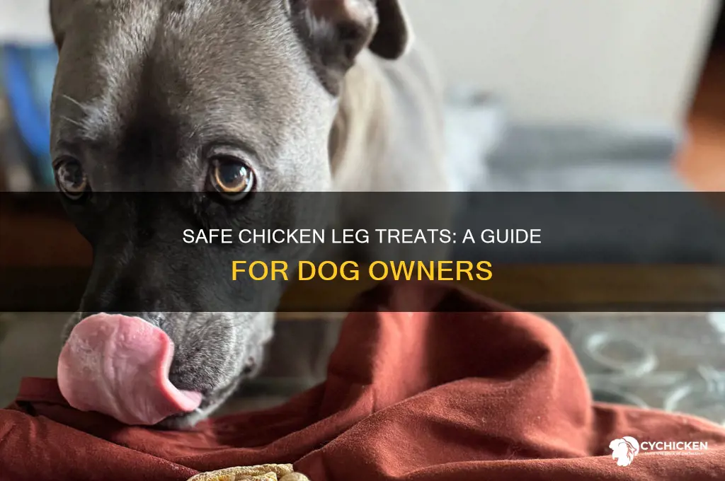how to give chicken legs to dogs
