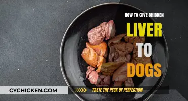 Feeding Chicken Liver to Dogs: A Healthy Treat Guide
