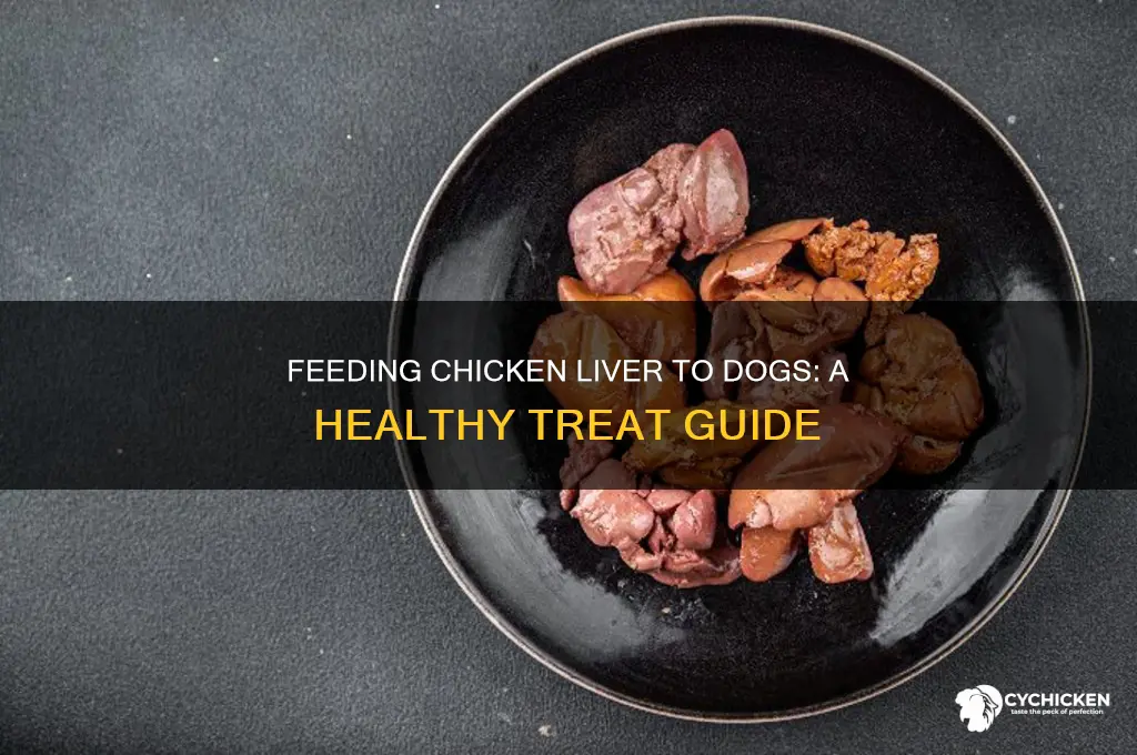 how to give chicken liver to dogs