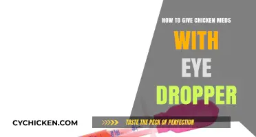 Easy Tips for Administering Chicken Meds with an Eye Dropper