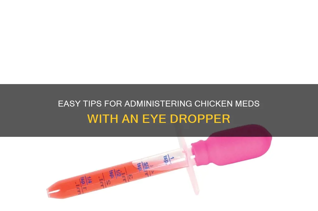 how to give chicken meds with eye dropper