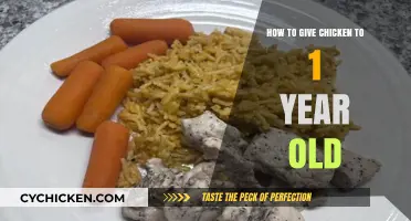 Safe and Nutritious Ways to Introduce Chicken to Your One-Year-Old