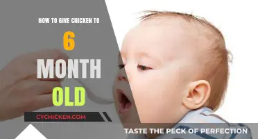 Introducing Chicken to Your 6-Month-Old: Safe and Nutritious Tips