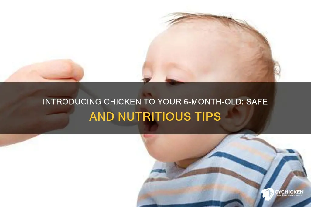 how to give chicken to 6 month old