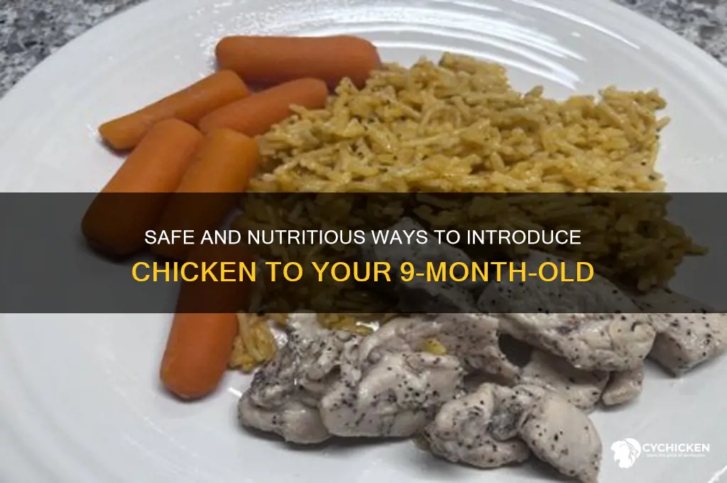 how to give chicken to 9 month old
