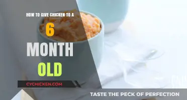 Introducing Chicken to Your 6-Month-Old's Diet