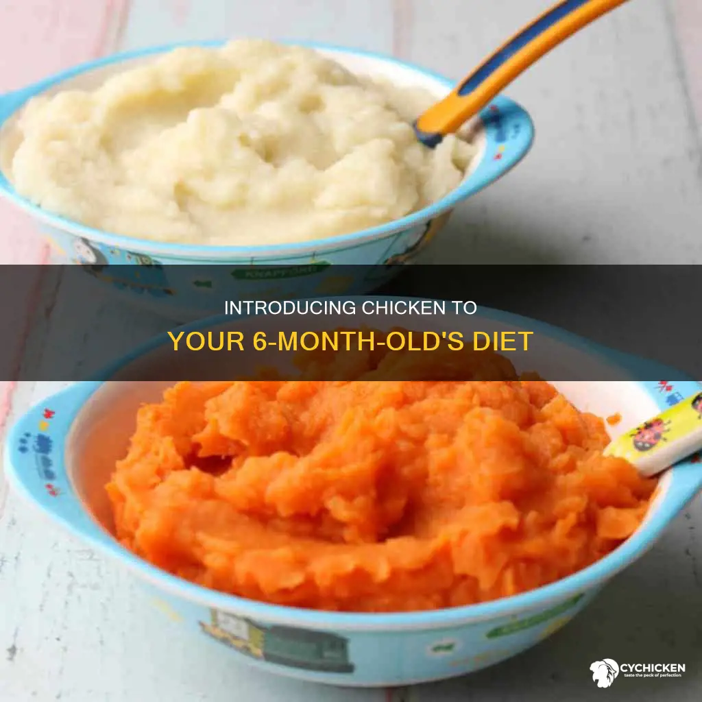how to give chicken to a 6 month old