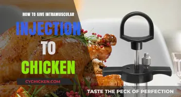 Mastering Intramuscular Injections for Chickens: A Step-by-Step Guide