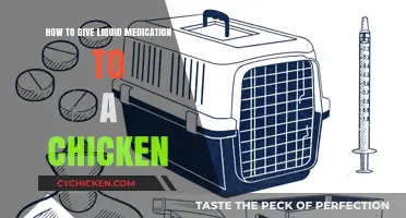 Administering Liquid Meds to Chickens: A Step-by-Step Guide