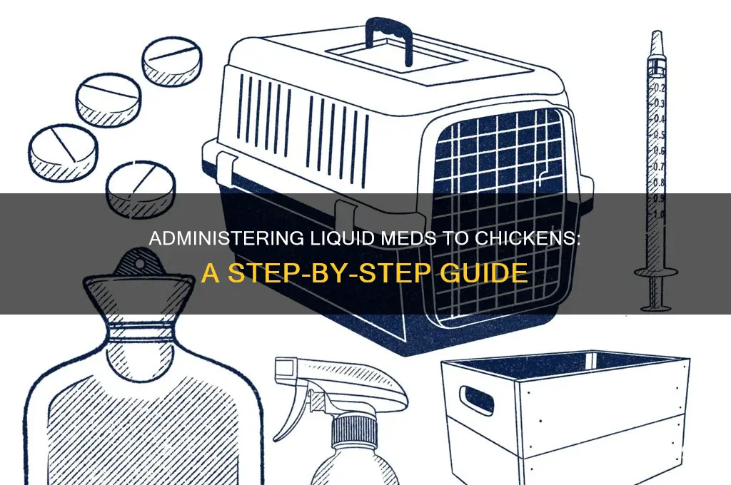how to give liquid medication to a chicken
