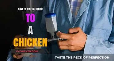 Effective Tips for Safely Administering Medicine to Your Chickens