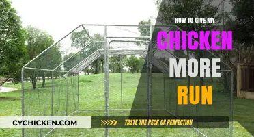 Expand Your Chicken's Space: Tips for a Larger, Happier Run