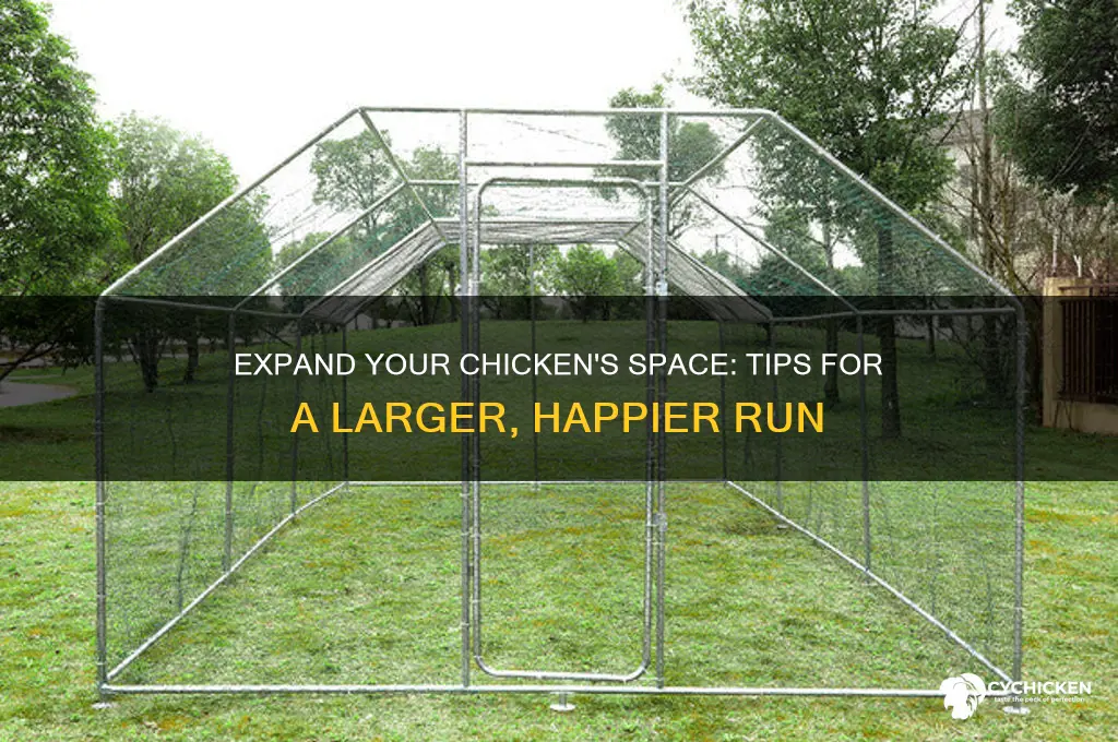 how to give my chicken more run