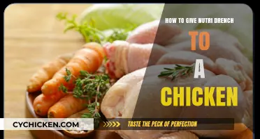 Administering Nutri-Drench to Chickens: A Step-by-Step Guide for Poultry Care