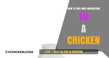 Easy Tips for Administering Oral Medication to Your Chickens Safely