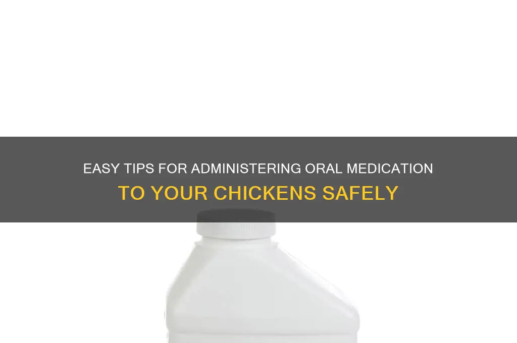 how to give oral medication to a chicken