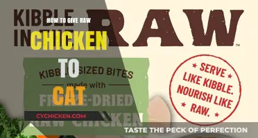 Safe Raw Chicken Feeding Guide for Cats: Tips and Precautions