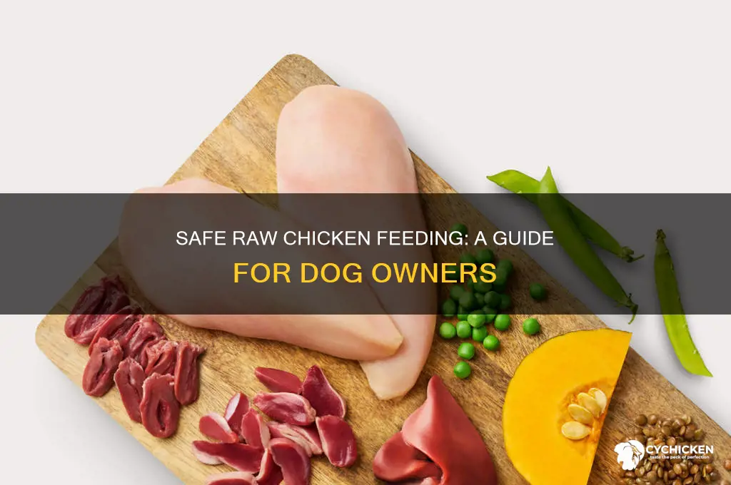 how to give raw chicken to dog