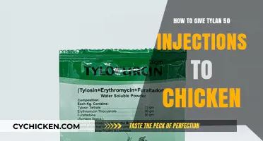Administering Tylan 50 Injections to Chickens: A Step-by-Step Guide