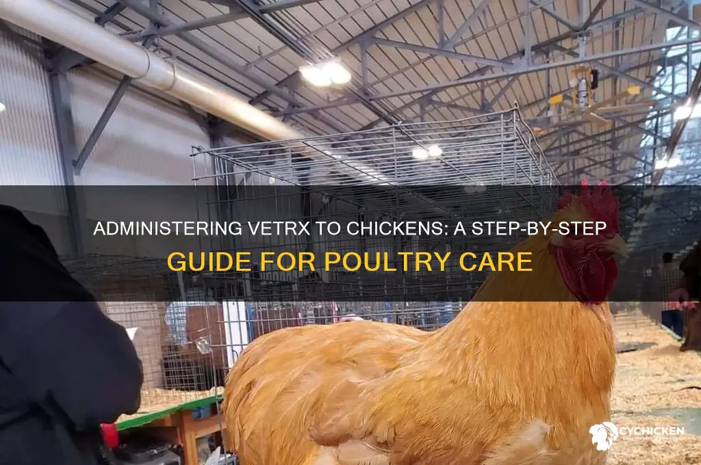 how to give vetrx to a chicken