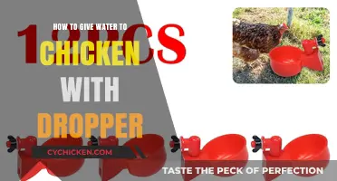 Easy Dropper Method: Hydrating Your Chickens Safely and Effectively