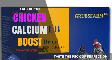 Boost Your Chicken's Health: Easy Calcium-Rich Tips for Stronger Eggshells