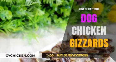Feeding Your Dog Chicken Gizzards: A Nutritious and Tasty Treat Guide