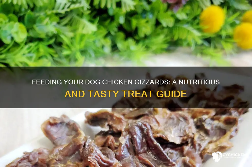 how to give your dog chicken gizzards