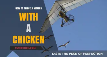Gliding with Chickens: Master the 20-Meter Flight Technique