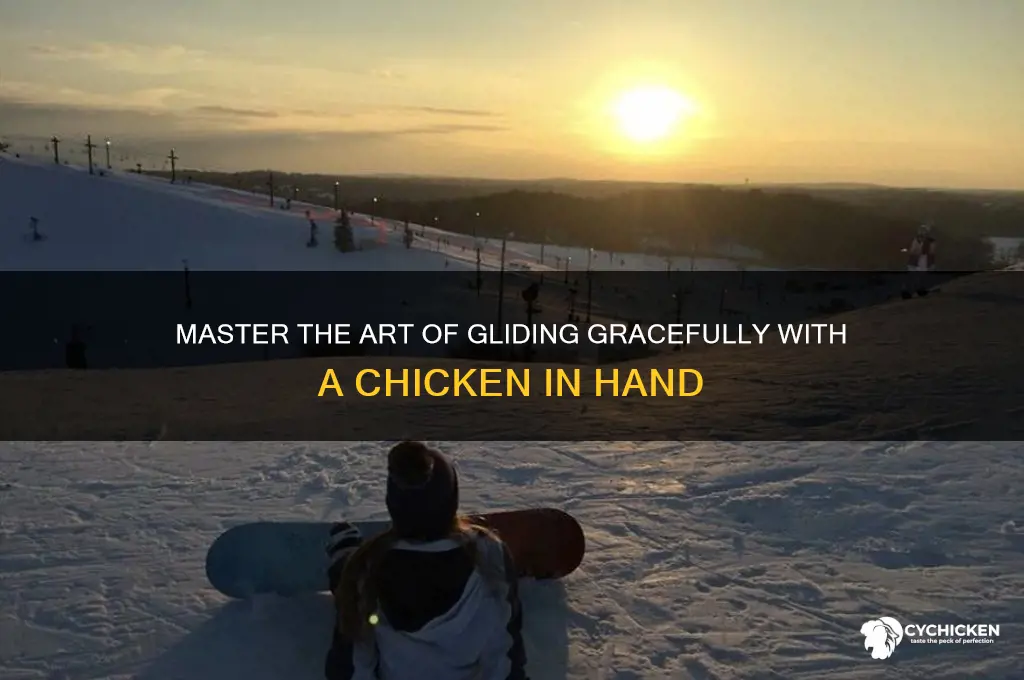 how to glide while holding a chicken