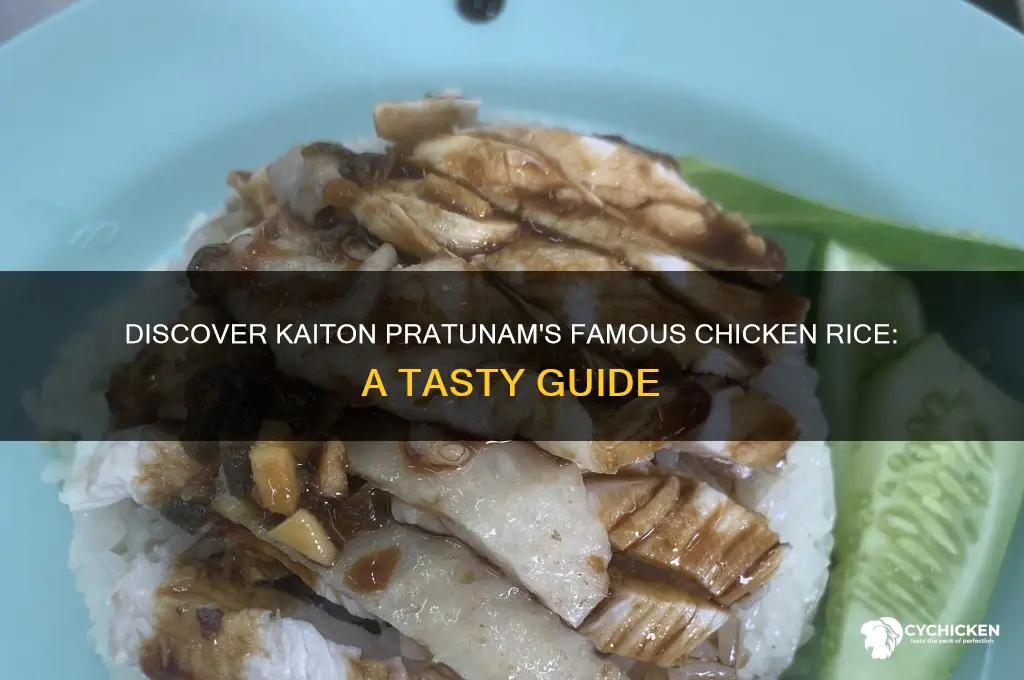 how to go kaiton pratunam chicken rice