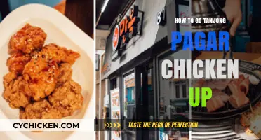 Tasty Adventure: Visiting Tanjong Pagar's Famous Chicken Up