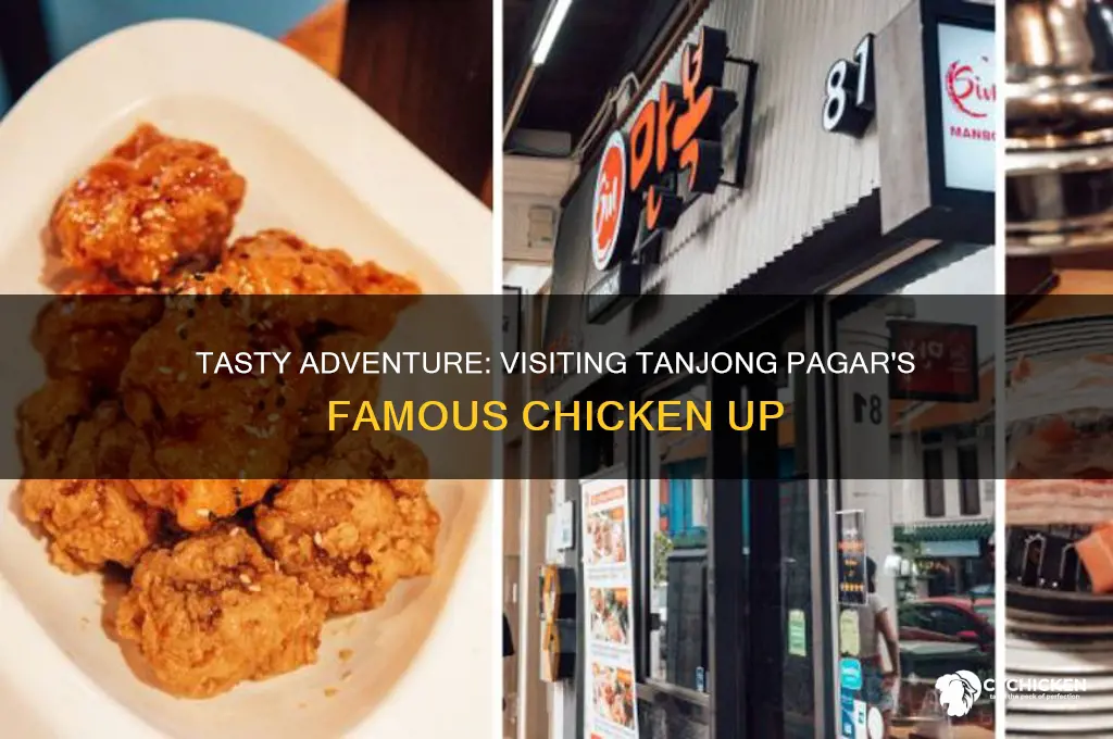 how to go tanjong pagar chicken up