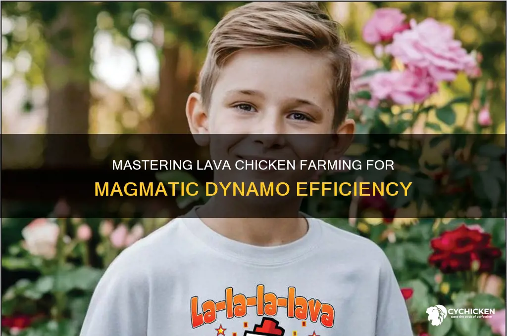 how to grab lava chicken to magmatic dynamo