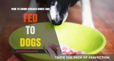 Grinding Chicken Bones: A Healthy Dog Treat