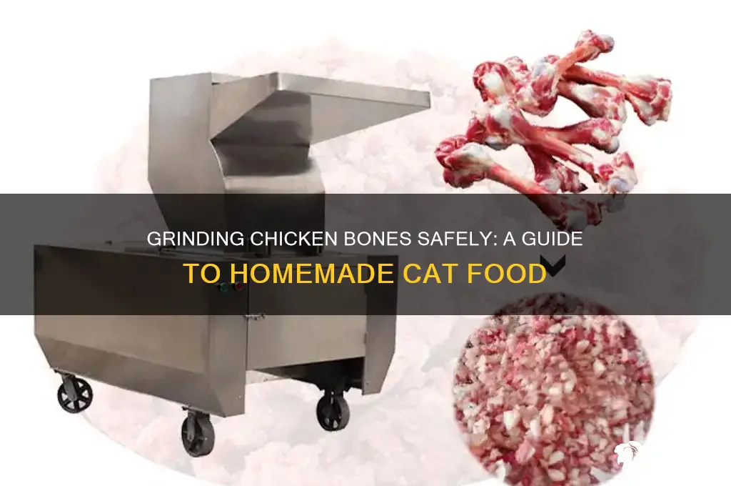 how to grind chicken bones for cat food